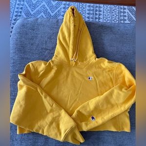 Champion cropped hoodie